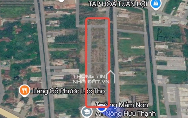 Sunrise Thanh Bình - Mua đất tặng nhà vườn - Đức Hòa